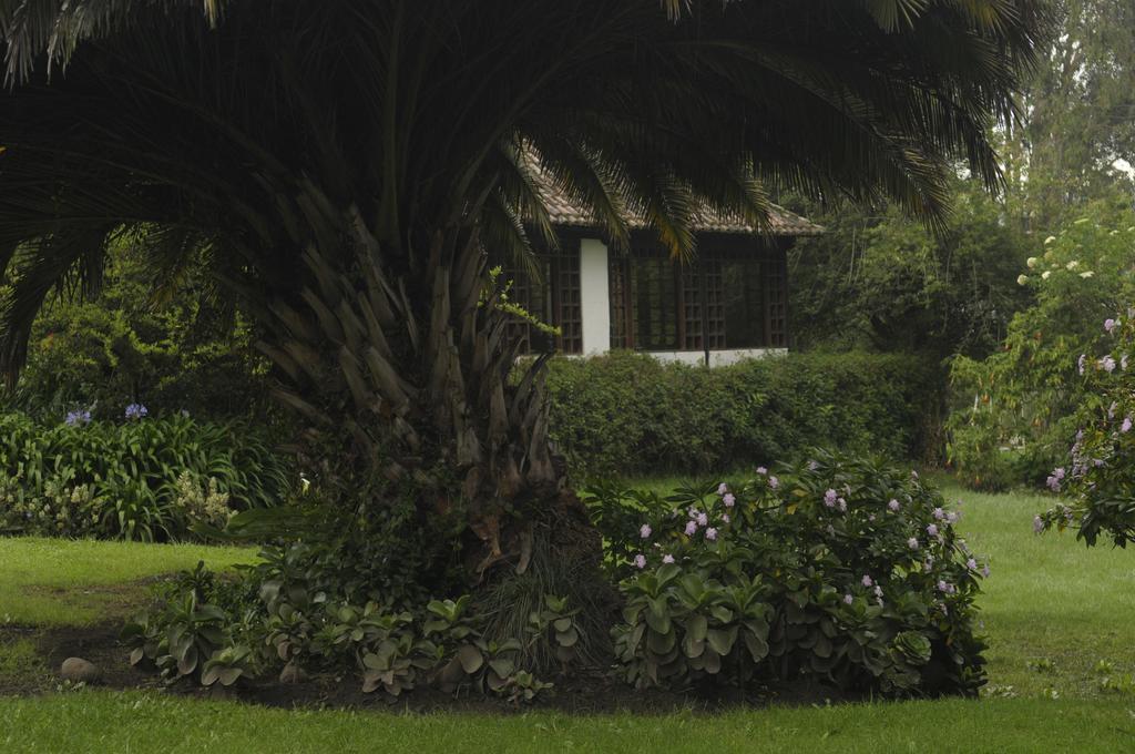 Molino San Juan Bed & Breakfast Cayambe Dış mekan fotoğraf