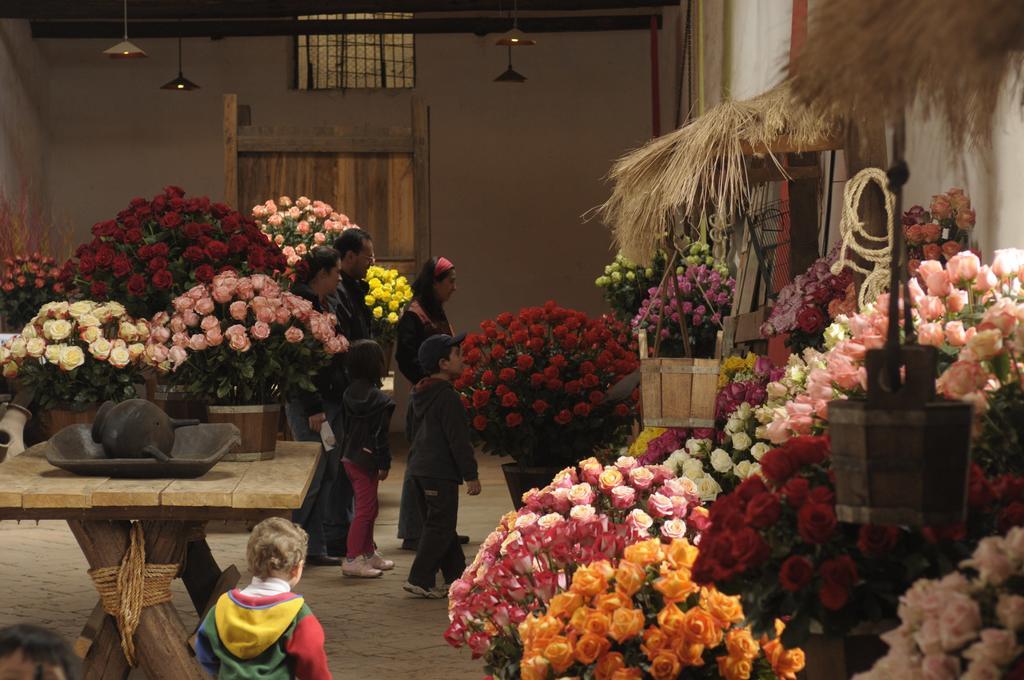 Molino San Juan Bed & Breakfast Cayambe Dış mekan fotoğraf